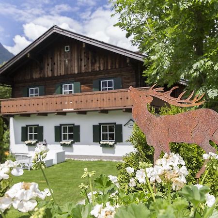 Forest Chalet, 15 Min To Salzburg Olt Town, And Most Beautiful Lakes, Secluded Location, 1,000 Sqm Garden, Mountainview, Panorama Sauna, Bath Whirlpool, Bbq&Bikes&Sunbeds For Free, Up To 10 P Голлінг-ан-дер-Зальцах Екстер'єр фото