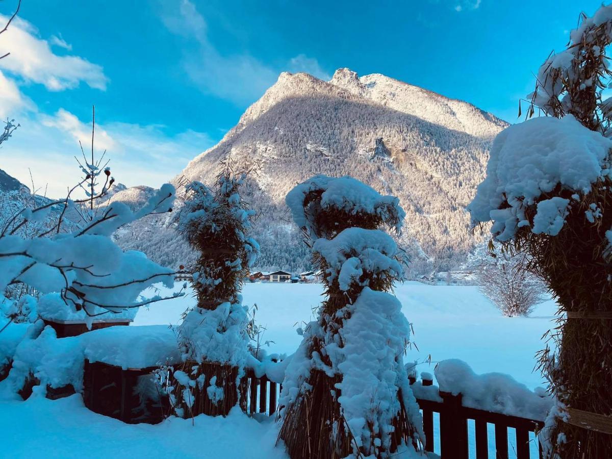 Forest Chalet, 15 Min To Salzburg Olt Town, And Most Beautiful Lakes, Secluded Location, 1,000 Sqm Garden, Mountainview, Panorama Sauna, Bath Whirlpool, Bbq&Bikes&Sunbeds For Free, Up To 10 P Голлінг-ан-дер-Зальцах Екстер'єр фото
