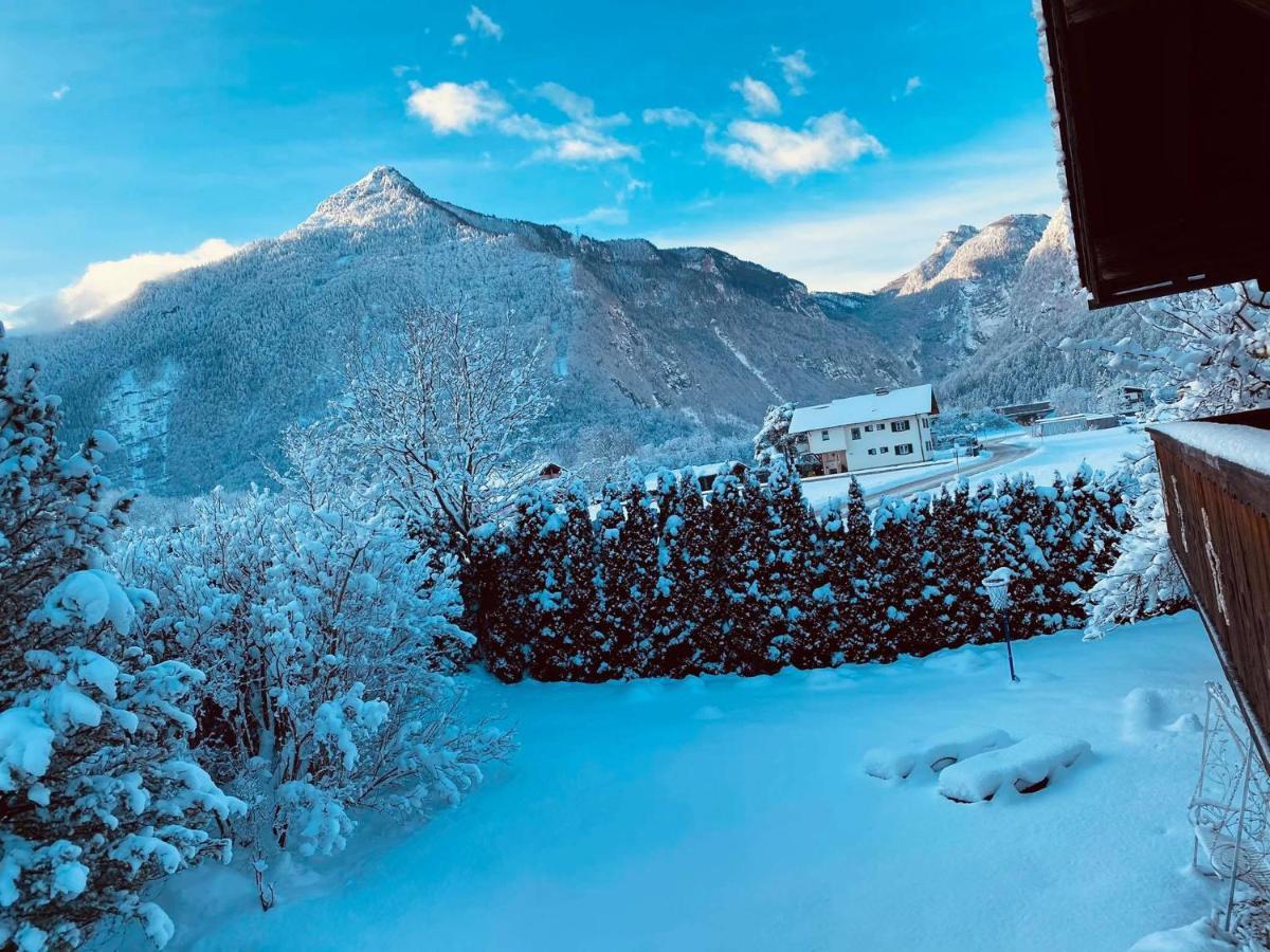 Forest Chalet, 15 Min To Salzburg Olt Town, And Most Beautiful Lakes, Secluded Location, 1,000 Sqm Garden, Mountainview, Panorama Sauna, Bath Whirlpool, Bbq&Bikes&Sunbeds For Free, Up To 10 P Голлінг-ан-дер-Зальцах Екстер'єр фото