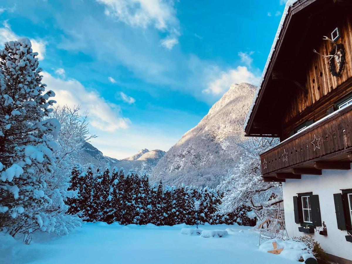 Forest Chalet, 15 Min To Salzburg Olt Town, And Most Beautiful Lakes, Secluded Location, 1,000 Sqm Garden, Mountainview, Panorama Sauna, Bath Whirlpool, Bbq&Bikes&Sunbeds For Free, Up To 10 P Голлінг-ан-дер-Зальцах Екстер'єр фото